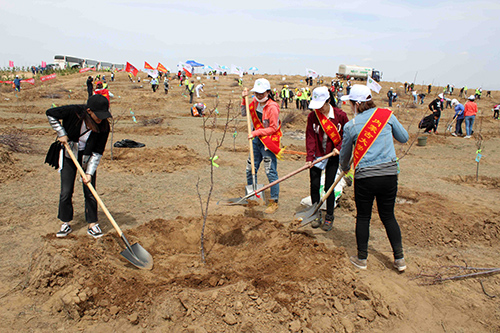 1493120573856805.jpg 01.jpg